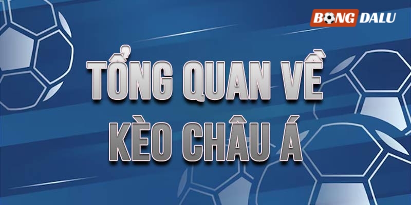 Hầu hết cược thủ đều yêu thích tham gia kèo Châu Á Hầu hết cược thủ đều yêu thích tham gia kèo Châu Á
