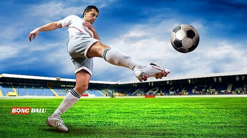 Cập nhật đội hình dự kiến
