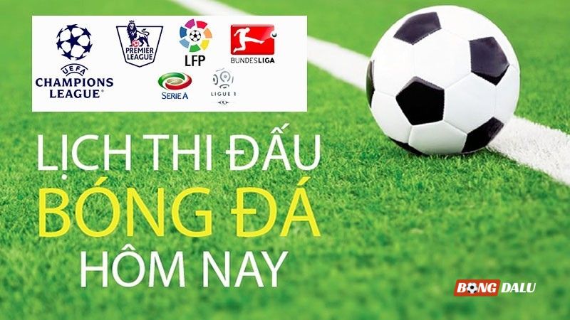 Lịch thi đấu