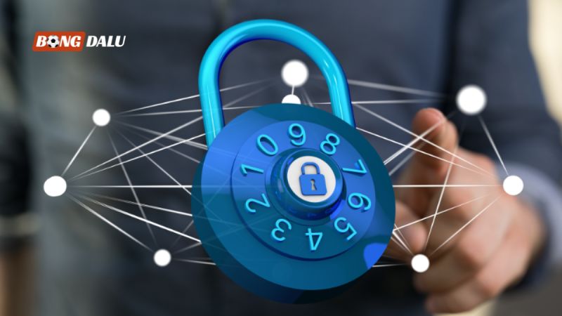 Người dùng được quyền yêu cầu truy vấn dữ liệu
